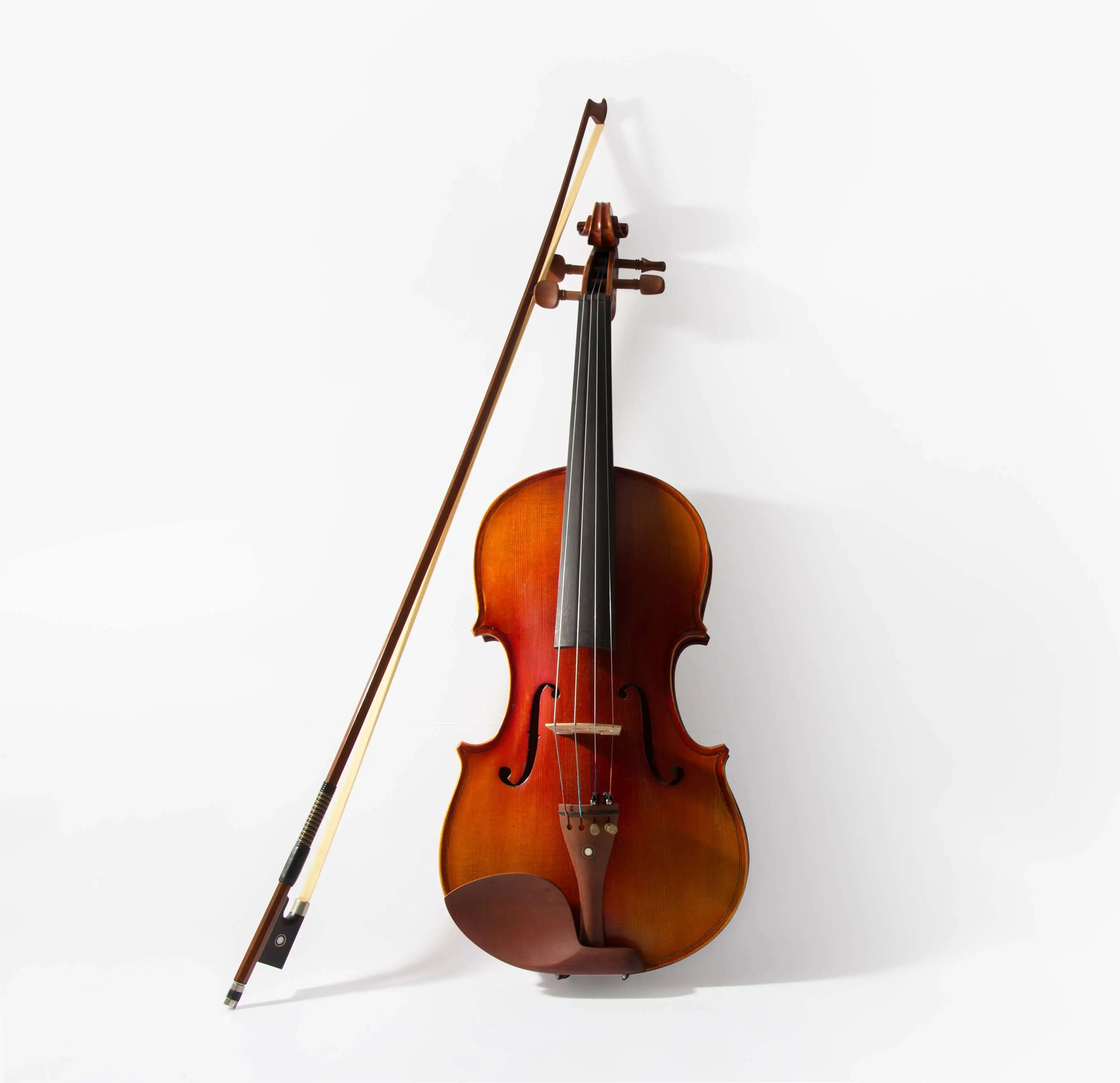 Image of viola