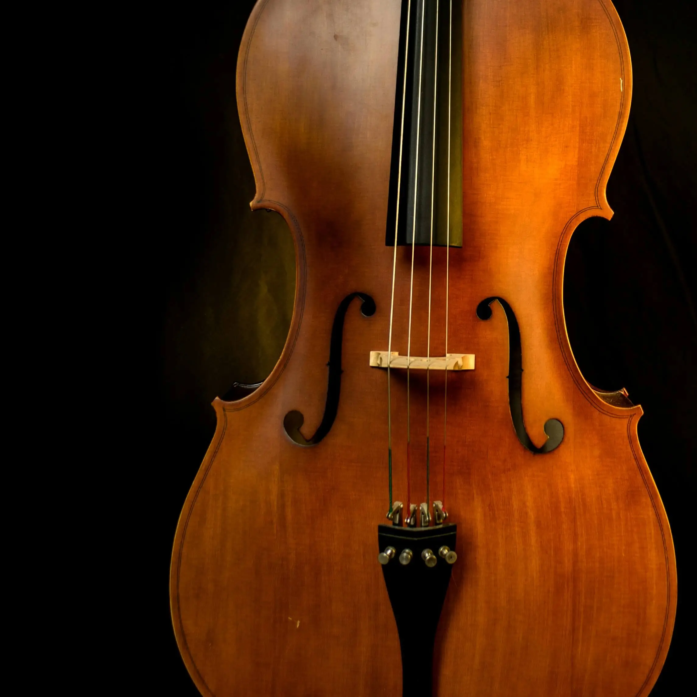 Close up of a cello